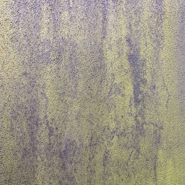 コケが生えた外壁